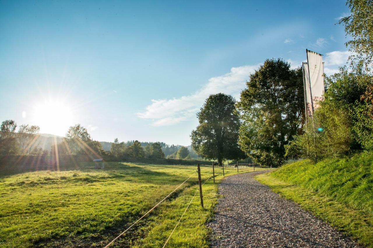 Forstgut - Premium Waldchalets Und Lodge Suiten Regen Exterior foto
